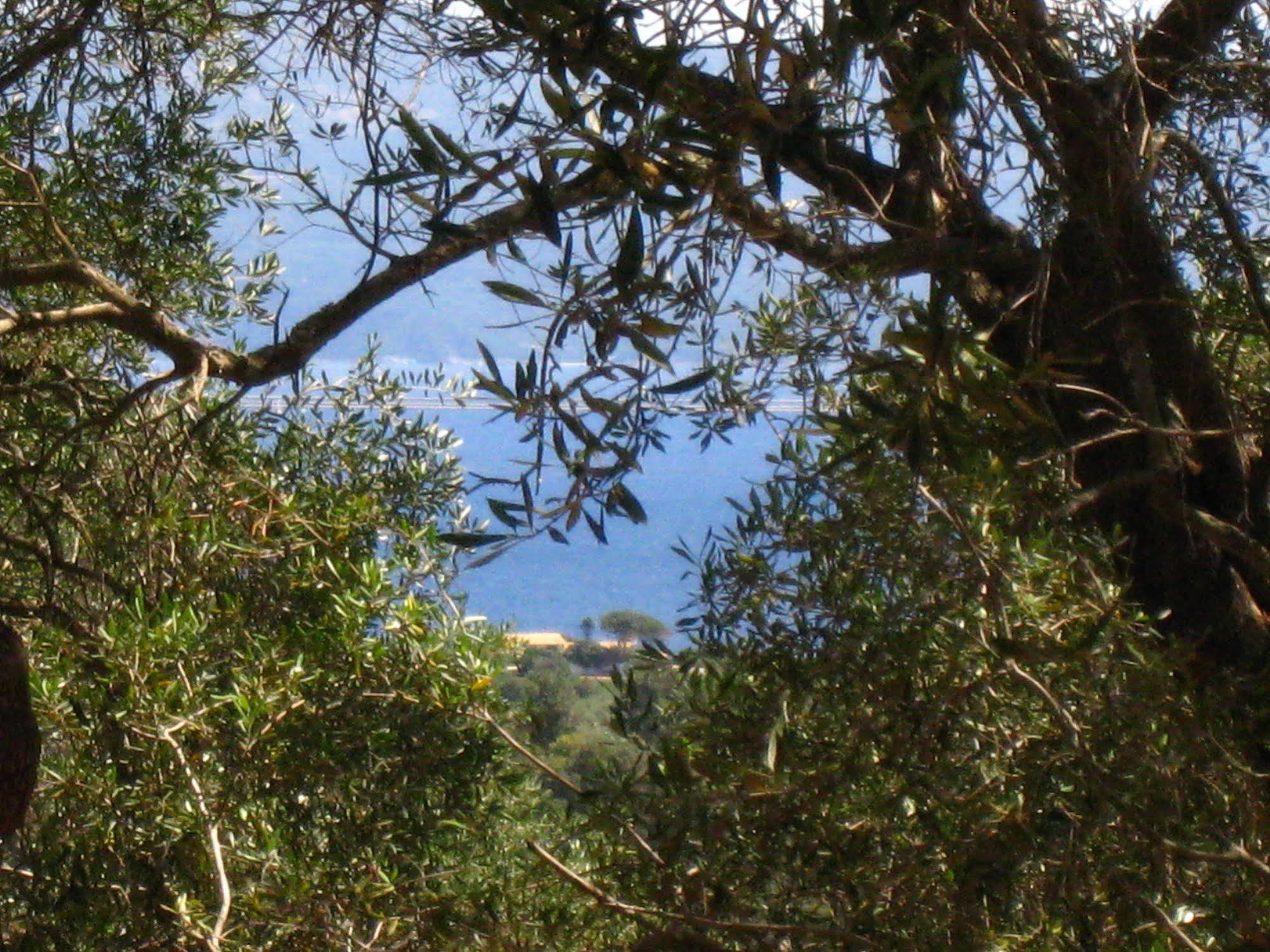 Adamantia Hotel Gaios Exteriör bild