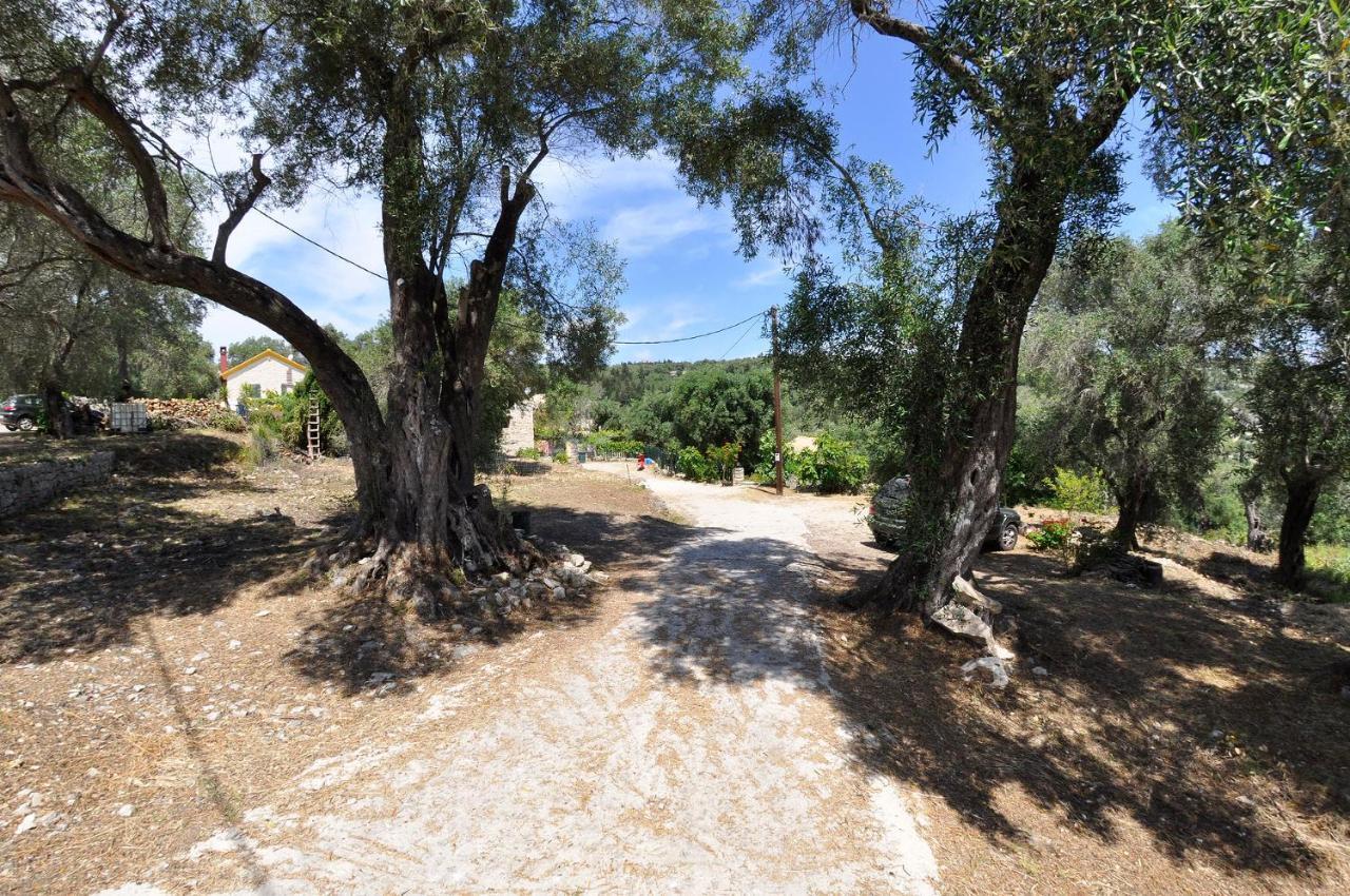 Adamantia Hotel Gaios Exteriör bild